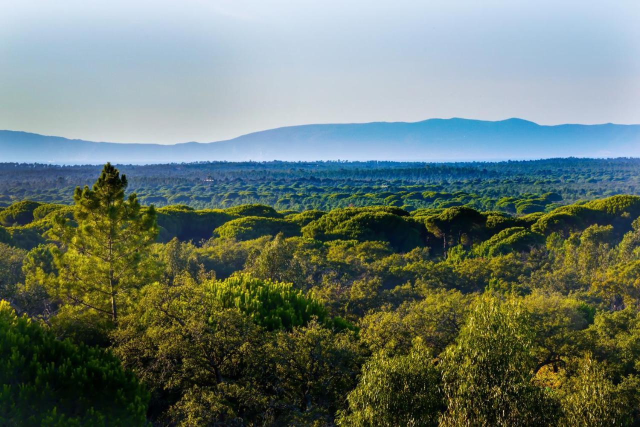 A Serenada Enoturismo Grândola Exteriér fotografie