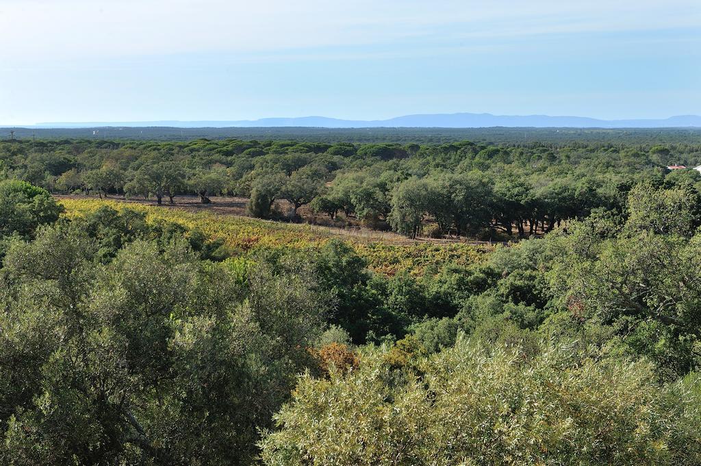 A Serenada Enoturismo Grândola Exteriér fotografie